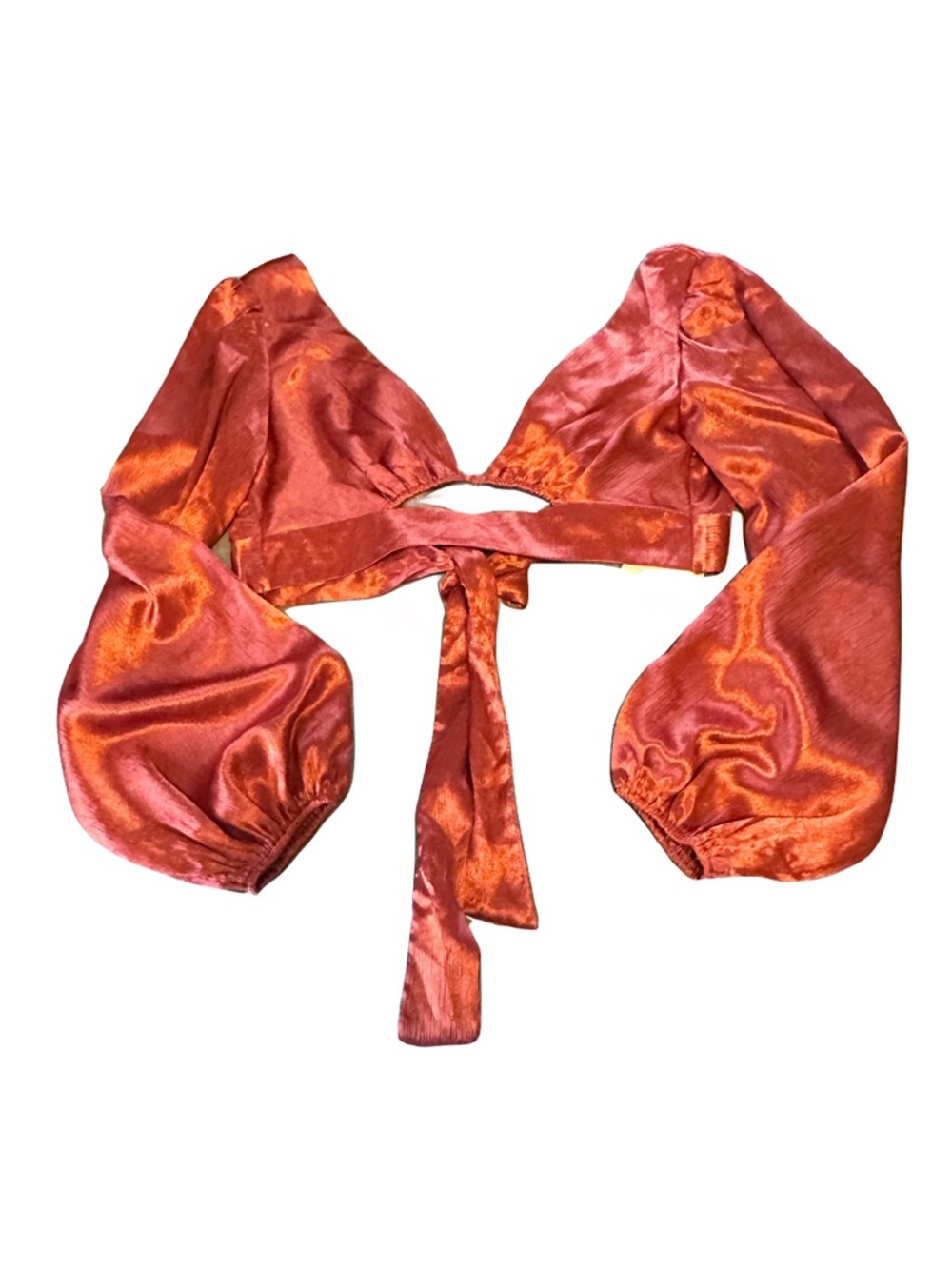 Rust Red Satin Long Sleeve Tie-Back Crop Top - Picture 2 of 4